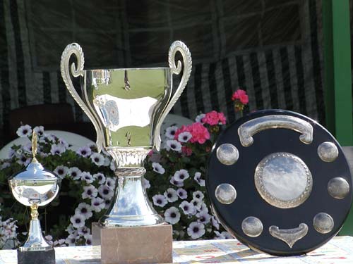 Viennese Mini World Cup Trophies